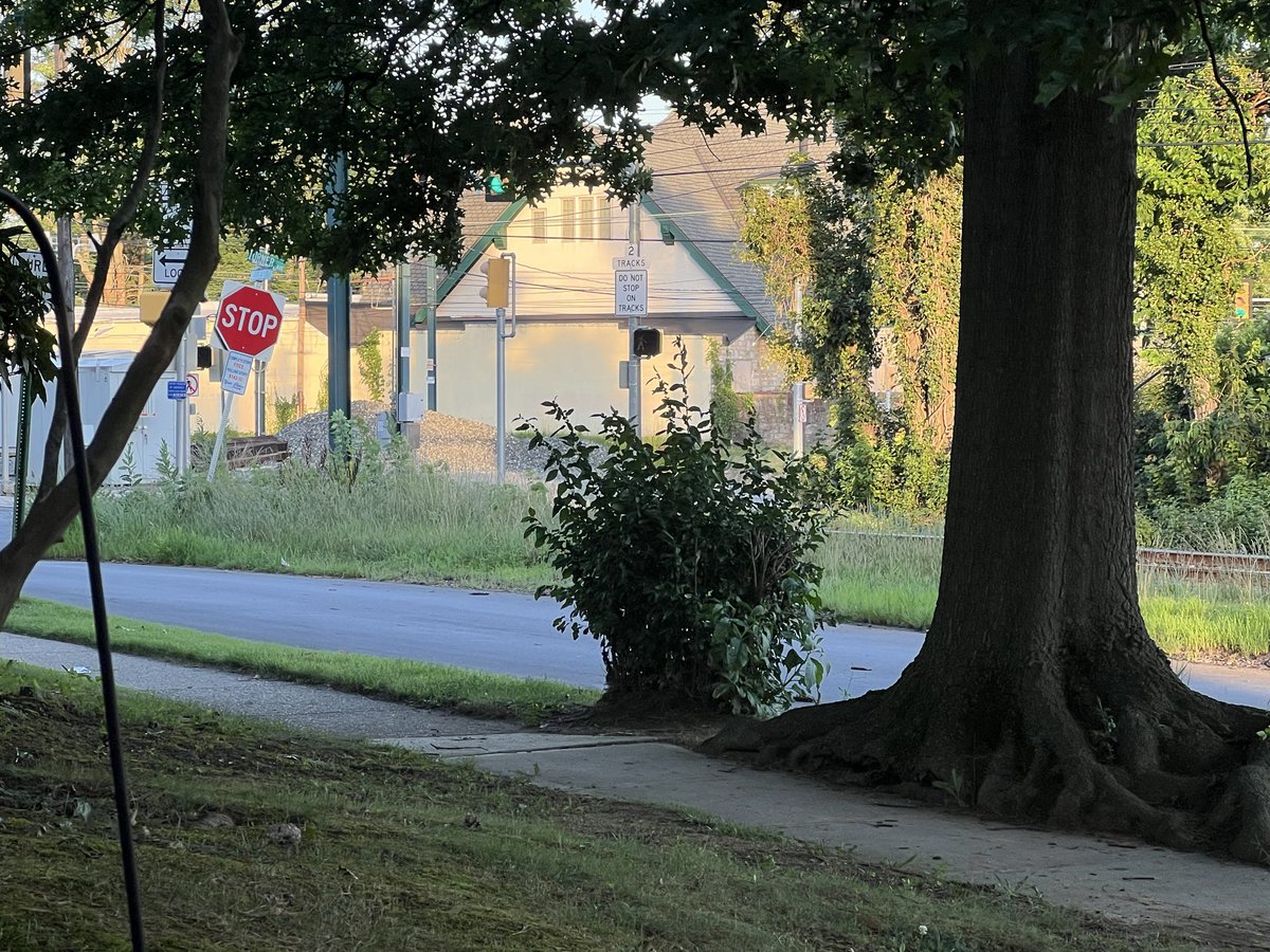 andibricklin's tweet photo. @SEPTA_SOCIAL  The corner of Hillcrest and Turner Ave needs some landscaping. Looks like the grass hasn’t been cut all summer. https://t.co/xn8IE2Wso8