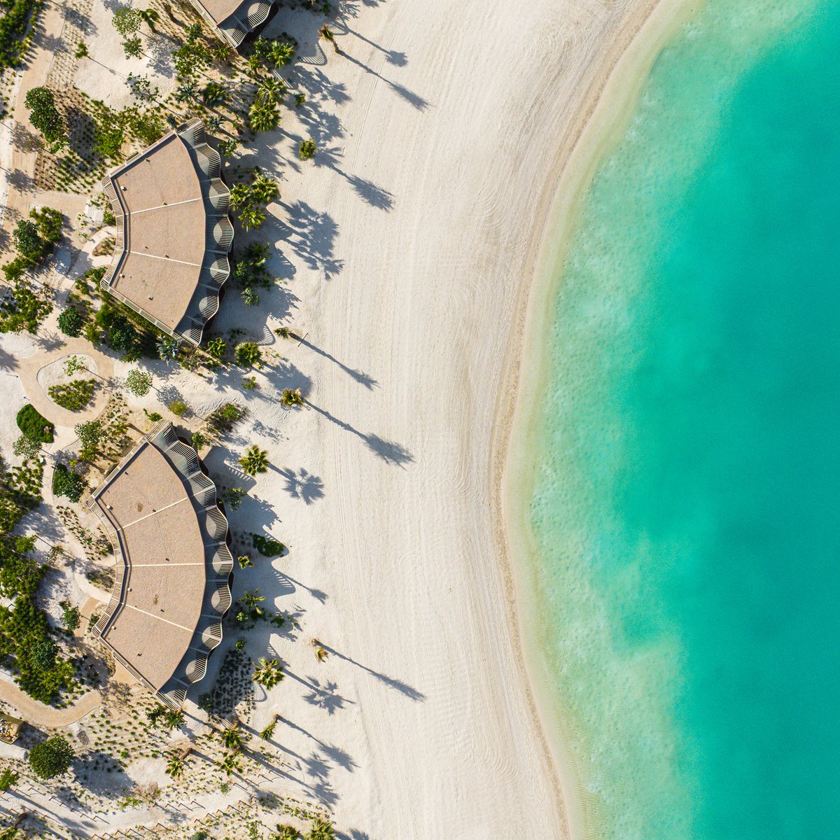 RedSeaGlobalAR's tweet photo. خمسة منتجعات إضافية في وجهة @VisitRedSea تنال شهادة LEED البلاتينية 🌿

تستمد منتجعات "إديشن"، و"إنتركونتننتال"، و"إس إل إس"، و"ميرافال"، و"فورسيزونز" طاقتها بالكامل من مصادر مستدامة، تجسيداً لرؤيتنا في السياحة المتجددة.