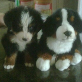 barleywheatling's tweet photo. dont mess with ME or MY PLUSHIE ever again,,,, https://t.co/YZLEW125LJ