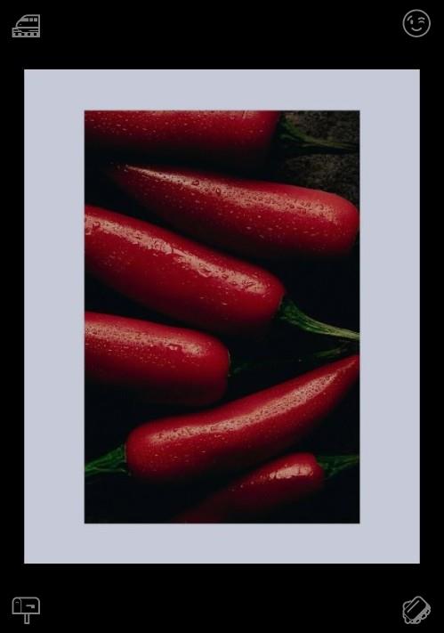 uzuradroidd's tweet photo. Tender summer wax gourds feature crisp, juicy flesh and a mild sweetness. As a seasonal ingredient, they provide a refreshing flavor that helps relieve summer heat and dryness. May you always be a source of goodness. https://t.co/KJLcgnKmIy