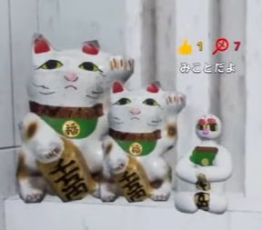 micomikoto2nd's tweet photo. おつカメレオンでした！
今日のハイライトです🐱 https://t.co/bU5xh1HKpS