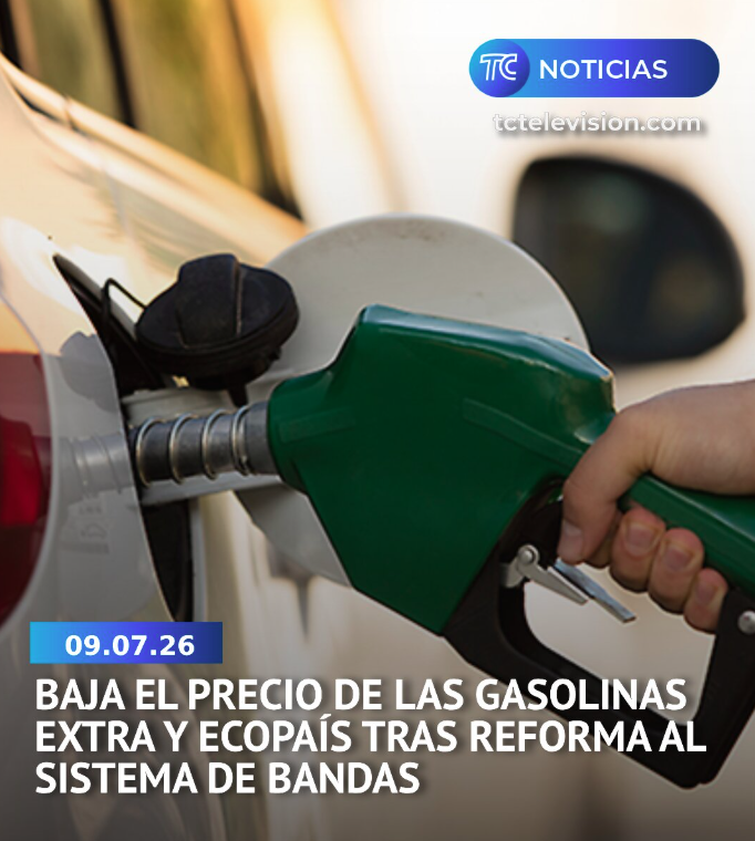 sentenciafinal's tweet photo. Ya bajó el precio de la gasolina. Se te acabó el lloriqueo, borrego espía. https://t.co/KbmP9b4d2O