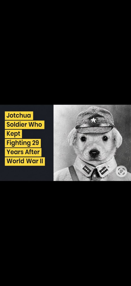 CryptDeaux's tweet photo. @mikasasolslayer @Drallio we keep on woofing🐶🫡 https://t.co/lxBnutbNHx