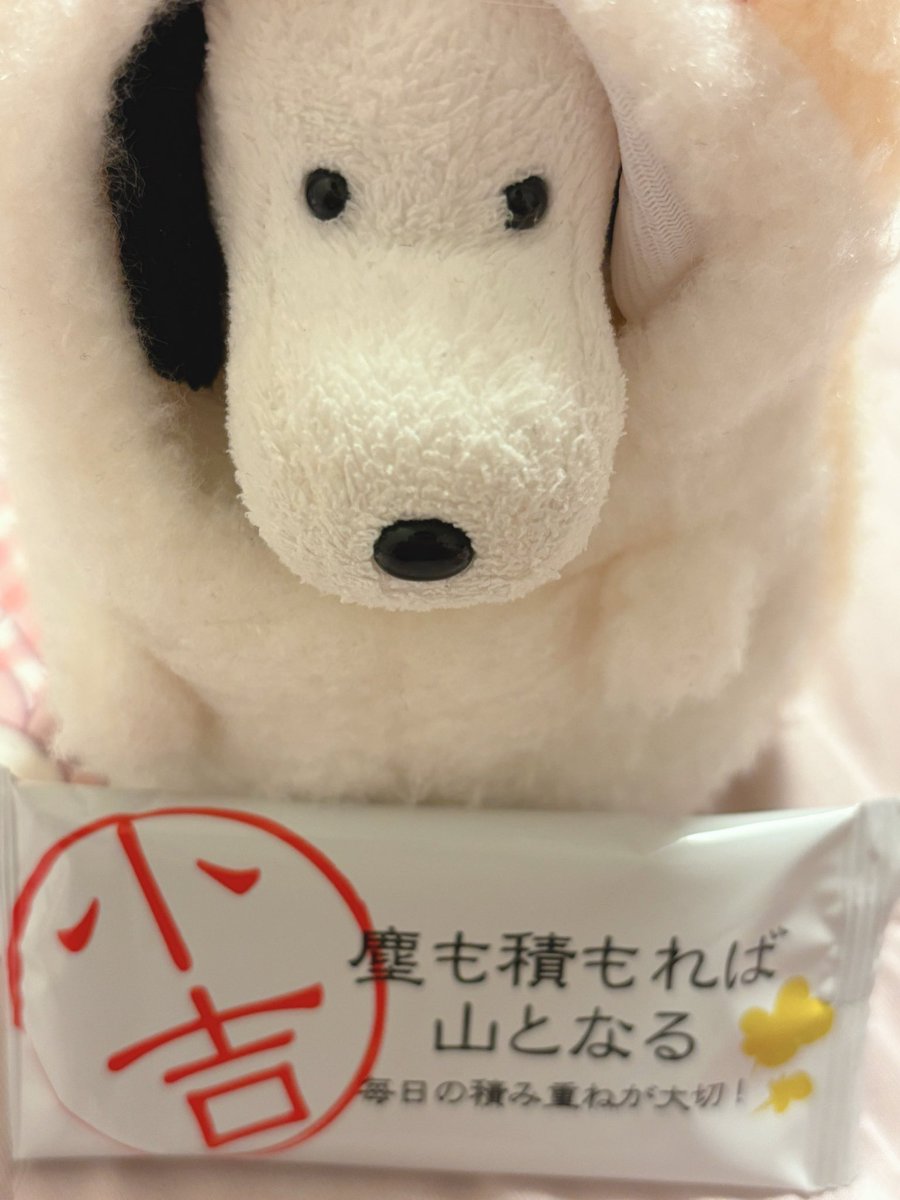 Huwahuwa__6's tweet photo. 小吉だったよ やめぴ
次は大吉 ひきたいね

#ぬい撮り 
#ぬい活
#やめぴといっしょ https://t.co/aWHYuXBR3F