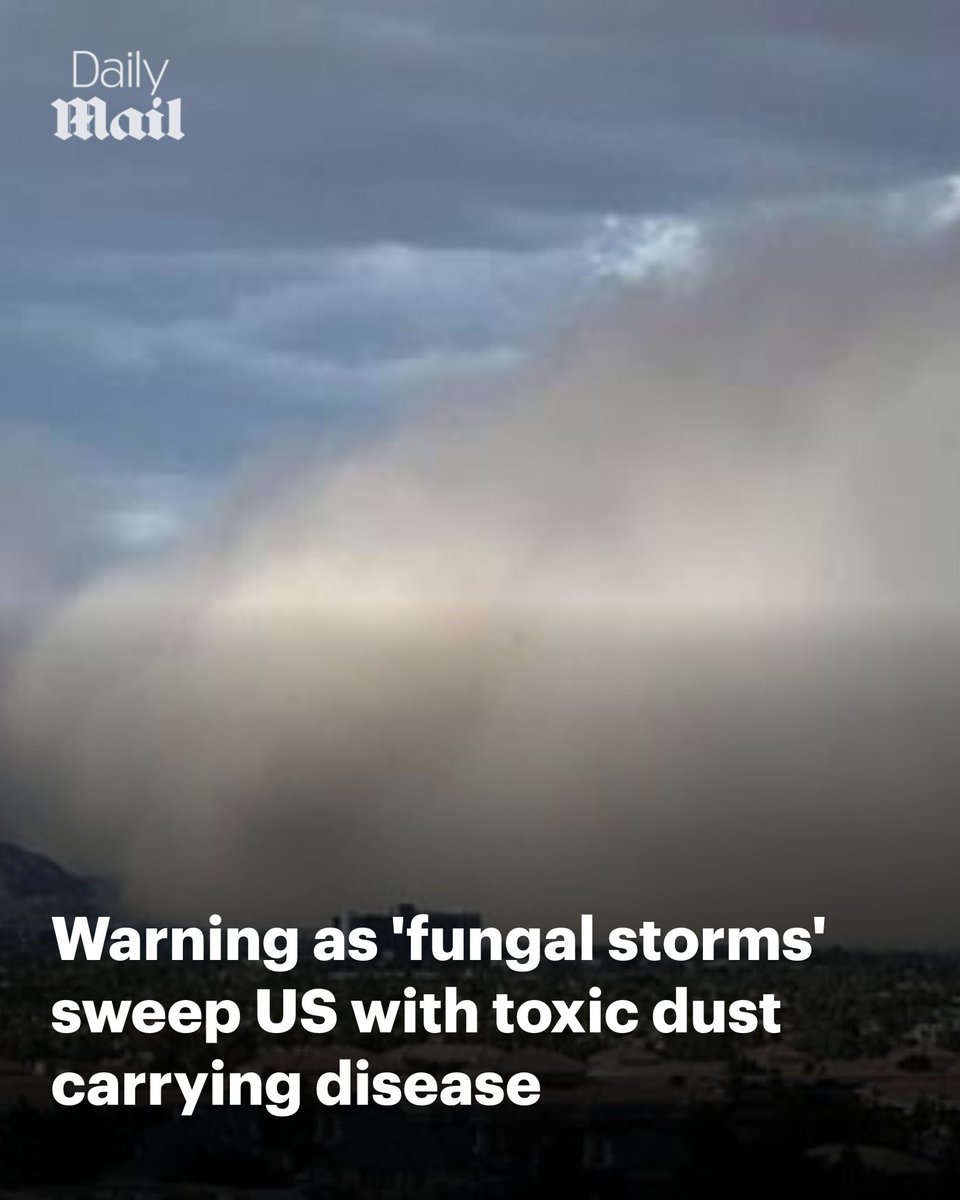 Daily_MailUS's tweet photo. Giant storms filled with potentially deadly fungal spores are set to sweep across at least 11 US states this summer, with the worst conditions still weeks away ⚠️  https://t.co/0vCFAFME3P 🔗 https://t.co/8k9kVJTCUq