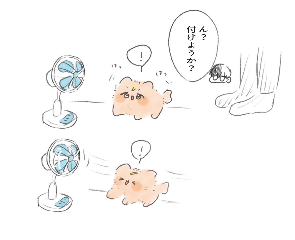 prsksae's tweet photo. ポメ彰 https://t.co/2yJQ9khh0k