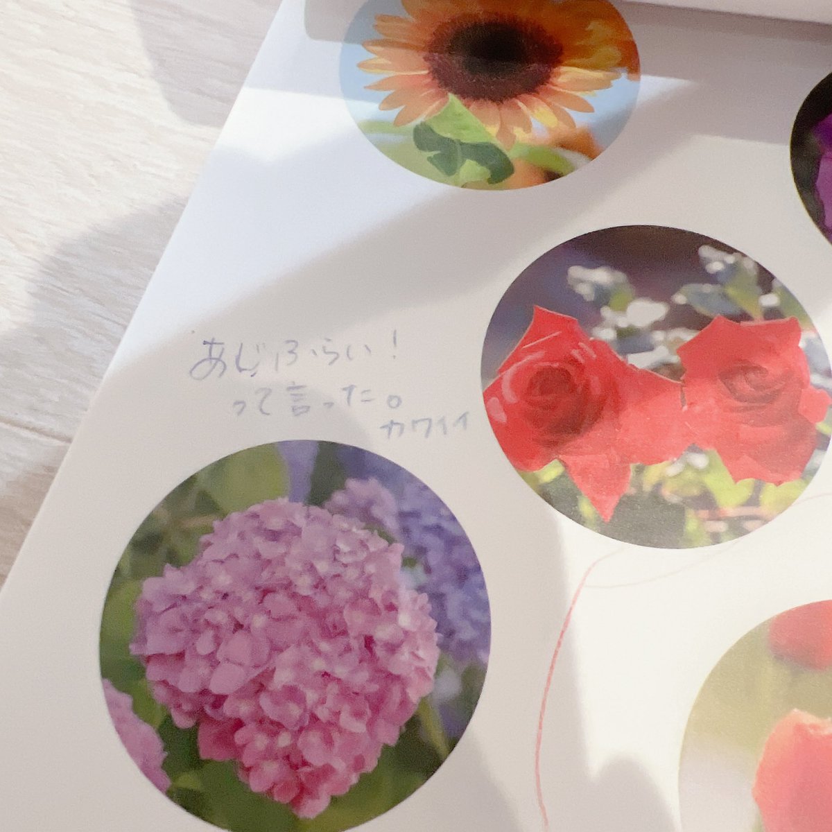 chaa_ikuji's tweet photo. 遅めスタート、開始から3ヶ月強で半分(A-5まで)終了✨すらすら解ける時は6枚の日もあり、苦手そうな様子があれば3枚だけにして調整。たまに休む日も挟んだよ。
昔ながらの(？)紙ファイルにバインダーして、娘の発言をメモしたり苦手をメモしたり✍️残り半分も同様のペースで終わらせよう😌 https://t.co/zmDgRlx4ry