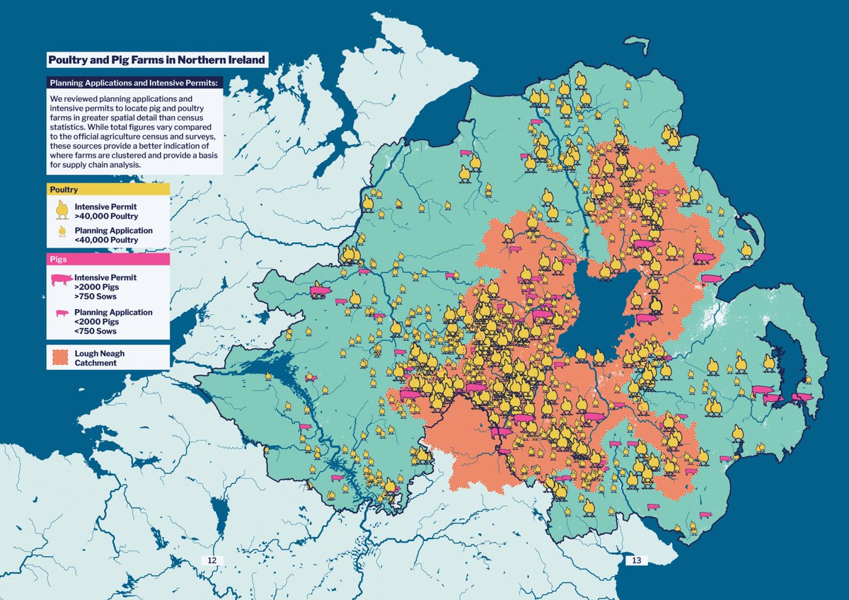 ShaunaReports's tweet photo. Ever wondered where Northern Ireland's ten of millions of chickens and pigs live? – Here's the map. 
If you'd like to learn why having so many in the Lough Neagh catchment is bad, read my report on some major new @foe_ni research for @desmognews 
https://t.co/pzQHRNgFWt https://t.co/9MeGl07qBd