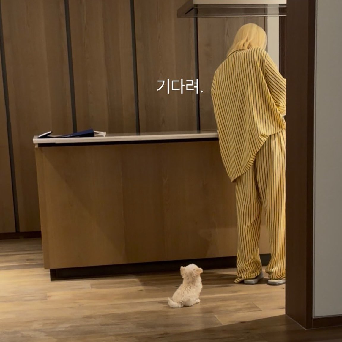 Kimgeto's tweet photo. 뽀뇨 어케 엄마랑 이렇세 똑 닮앗지 https://t.co/26BK4w4GIy