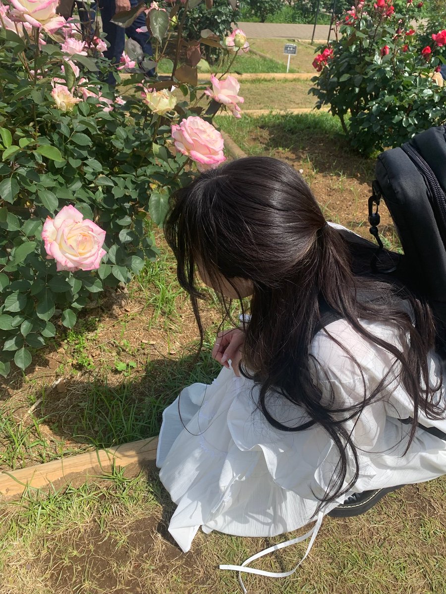 rena_ukulele's tweet photo. 端ã£ãã§ãŠã¯ã¬ã¬åŒŸããŠãããããã°ãã¡ããã声ããããŠãããŠâŠ
ã仿¥ç§ã®èªçæ¥ãªã®ïŒäœã匟ããŠããããããïŒããšèšã£ãŠãããã®ã§ãHappy BirthdayããŠã¯ã¬ã¬ã§æŒå¥ãããããã£ããåãã§ãã ãã£ãŠãæ¬åœã«å¬ããã£ãâ¡
鳿¥œã£ãŠæ¬åœã«çŽ æµã ãªãâŠãšæ¹ããŠæããäžæ¥ã§ããã
#renaukulele https://t.co/AwH6MPaaQr