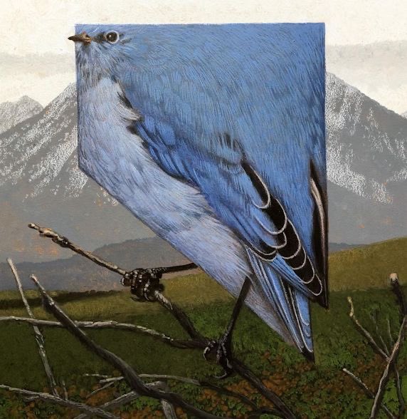 pmamtraveller's tweet photo. "Nevada Mountain Bluebird" by artist C.F. Payne. https://t.co/XuJZpkVTxK