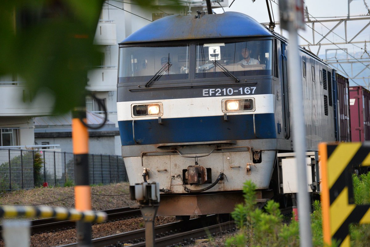 paradiso4932's tweet photo. AF-S VR 70-300mm F4.5-5.6G ED
中古で3万もあればお釣りがくるかもしれないレンズ。色ノリと解像感がしっかりして、歪曲も全域で小。ニコンは安レンズも手抜きなし。 https://t.co/Ax8jbE9a78
