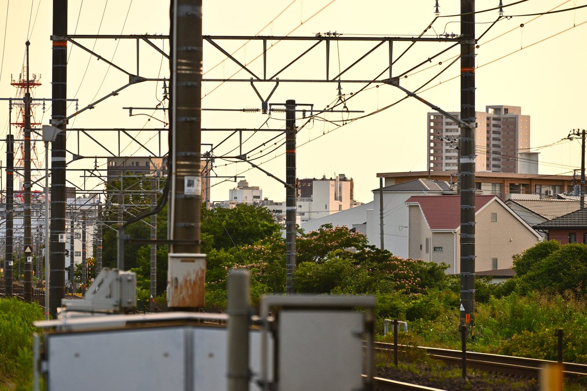 paradiso4932's tweet photo. AF-S VR 70-300mm F4.5-5.6G ED
中古で3万もあればお釣りがくるかもしれないレンズ。色ノリと解像感がしっかりして、歪曲も全域で小。ニコンは安レンズも手抜きなし。 https://t.co/Ax8jbE9a78