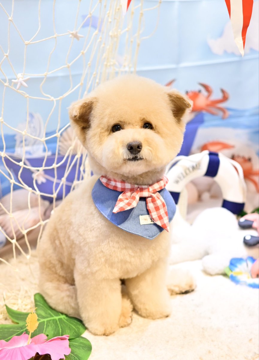 きなこちゃんまん丸かわいい❤️ お疲れ様☺️ （やまぐち）