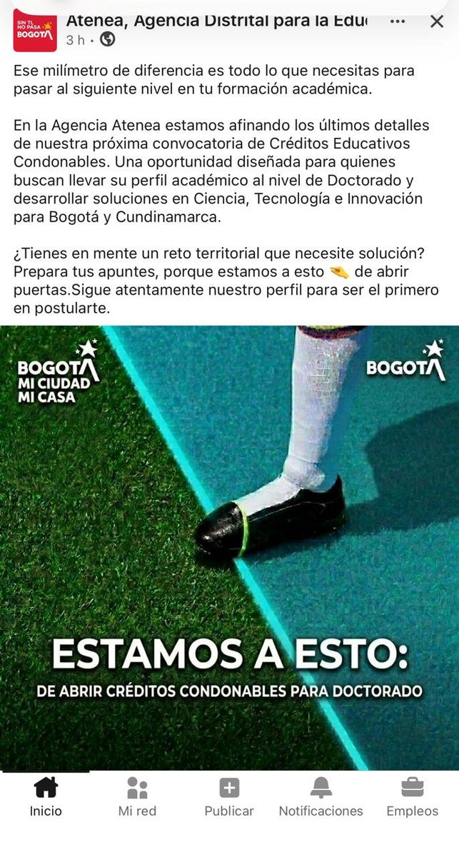LuisCamiloCL's tweet photo. Lo importante es avanzar desde JULIO 2026 en la admisión a los programas de doctorado que hacen parte de los créditos condonables Roberto Zarama 
@Uniandes @UNALOficial @unisabana @U_Elbosque @UniJaveriana @UTadeo_edu_co @udistrital https://t.co/cYF6zqeUzU