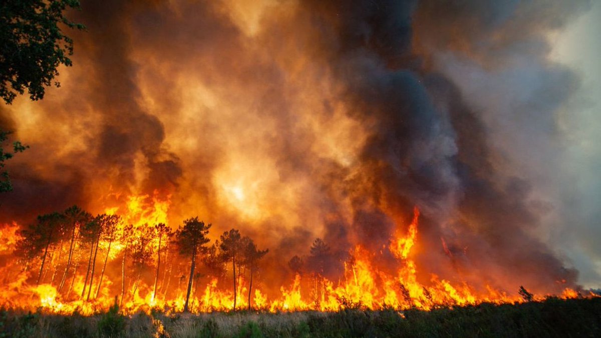 Domino751's tweet photo. La canicule est là. Et aussi le feu.
Cela devrait nous faire comprendre la notion d'expansion maximale, d'entropie, d'arrêt.
La canicule est à l'image de notre pensée : prête à dévaster le monde…
https://t.co/li56V5uDqD https://t.co/X2gvUGwvtu