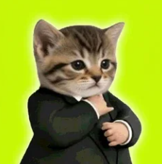Pum pum tweet media