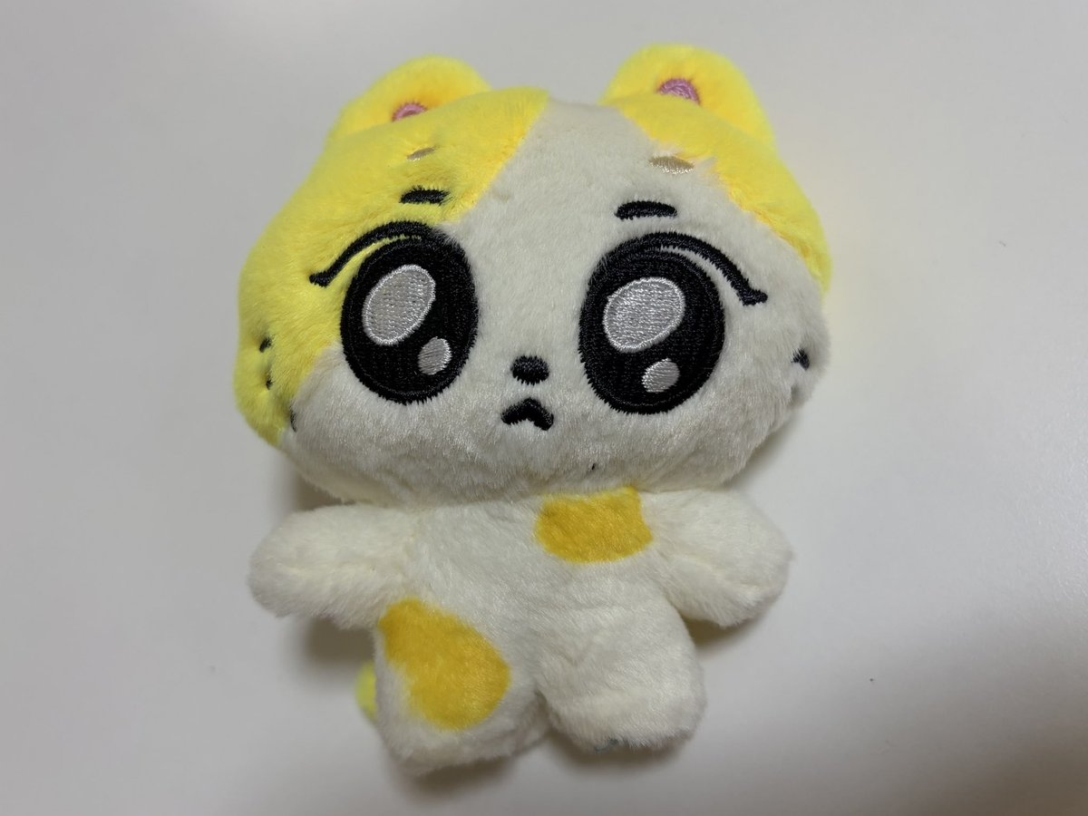 sh094o_'s tweet photo. うちの子顔が左に寄ってめっちゃ傾いてるんだけど写真じゃ伝わんないな、？ https://t.co/lfRd5T6C69