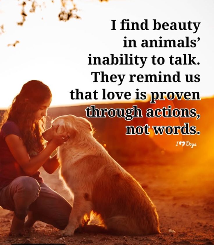 vivaneil1234's tweet photo. https://t.co/CzmSLxSStF