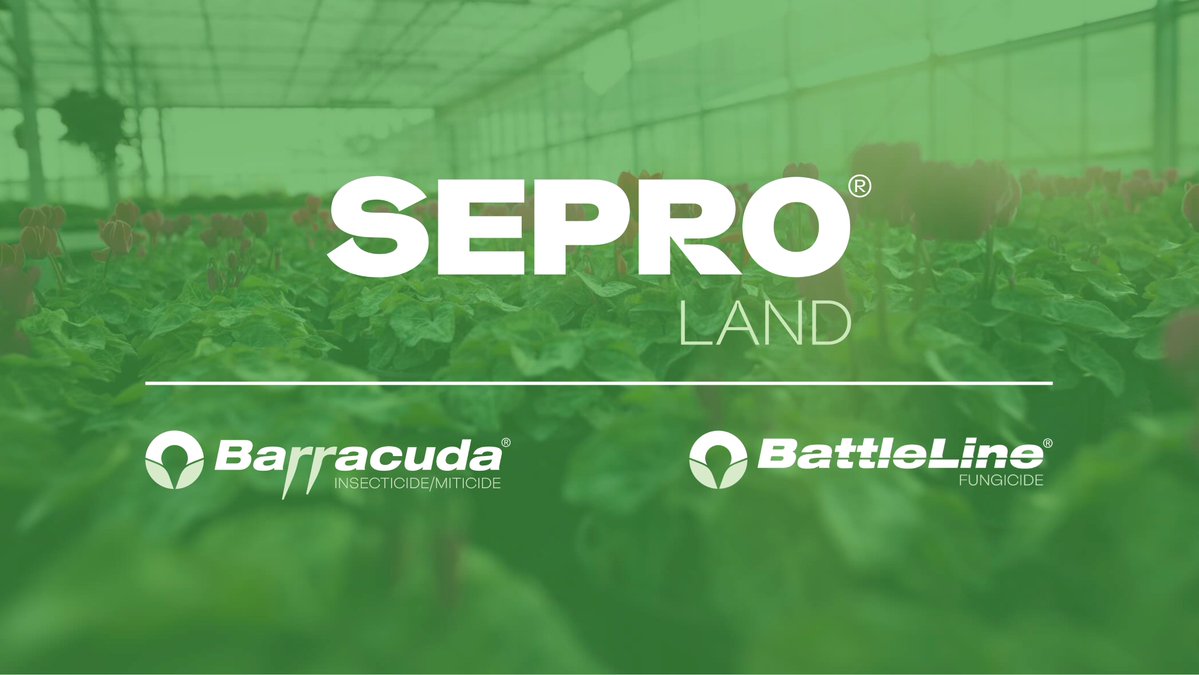 SEPRO_Land's tweet photo. SEPRO Land is proud to announce the addition of two new products to our Ornamental Portfolio with Barracuda® Insecticide/Miticide and BattleLine® Fungicide.

These new solutions provide greenhouse and nursery growers with additional science-based tools for insect, mite, and disease management.

Read the press release: https://t.co/s3URqumUuq

Learn more about Barracuda: https://t.co/QdMoMA23GG

Learn more about BattleLine: https://t.co/tONZqrnMOQ