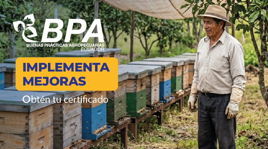AgrocalidadEC's tweet photo. ✅ Las BPA se implementan paso a paso.

☝️La clave es la mejora continua.

El proceso de certificación #BPAEcuador es sencillo y adaptado a la realidad de cada productor. https://t.co/8zpRY9yAXr