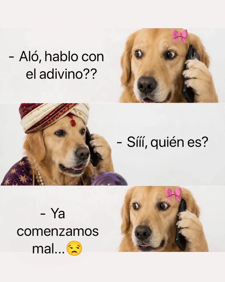 nacional_memes's tweet photo. Jajajajajaja 🐱 https://t.co/md9WMiUo03