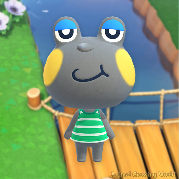 Animal Crossing World 🏝️ tweet media