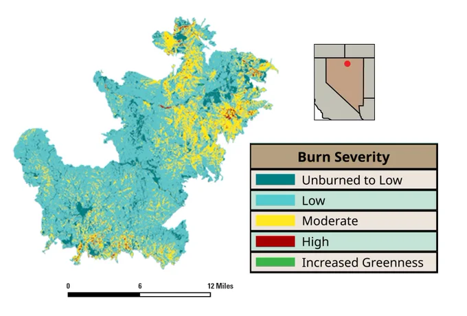 Map showing burn severity levels in a Nevada region with areas marked from unburned to high severity and zones of increased greenness.