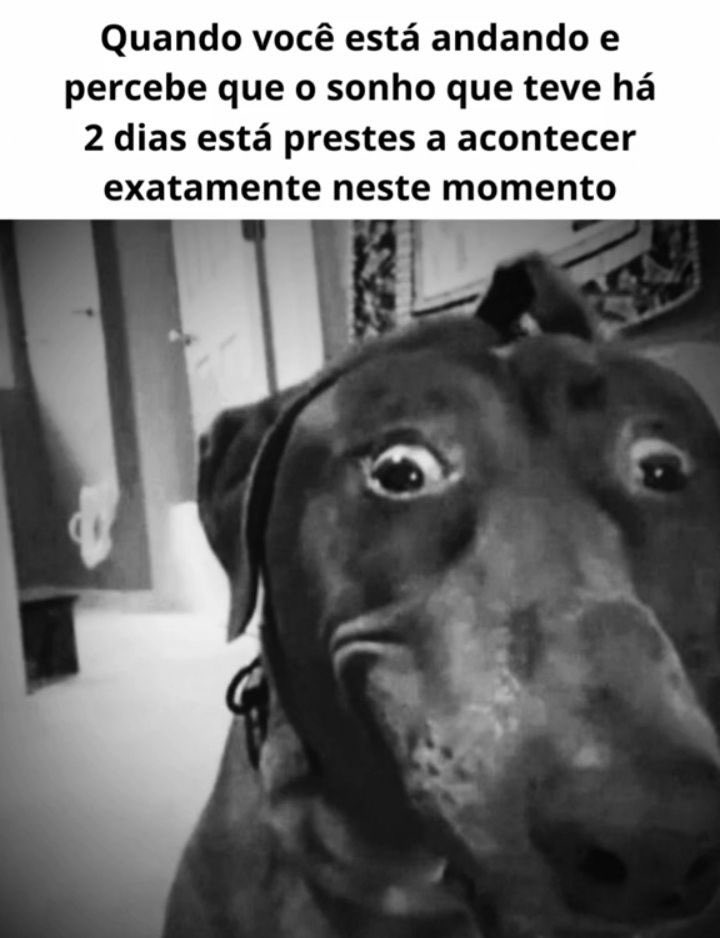 shitpostverdade's tweet photo. https://t.co/HqMrwN2YI8