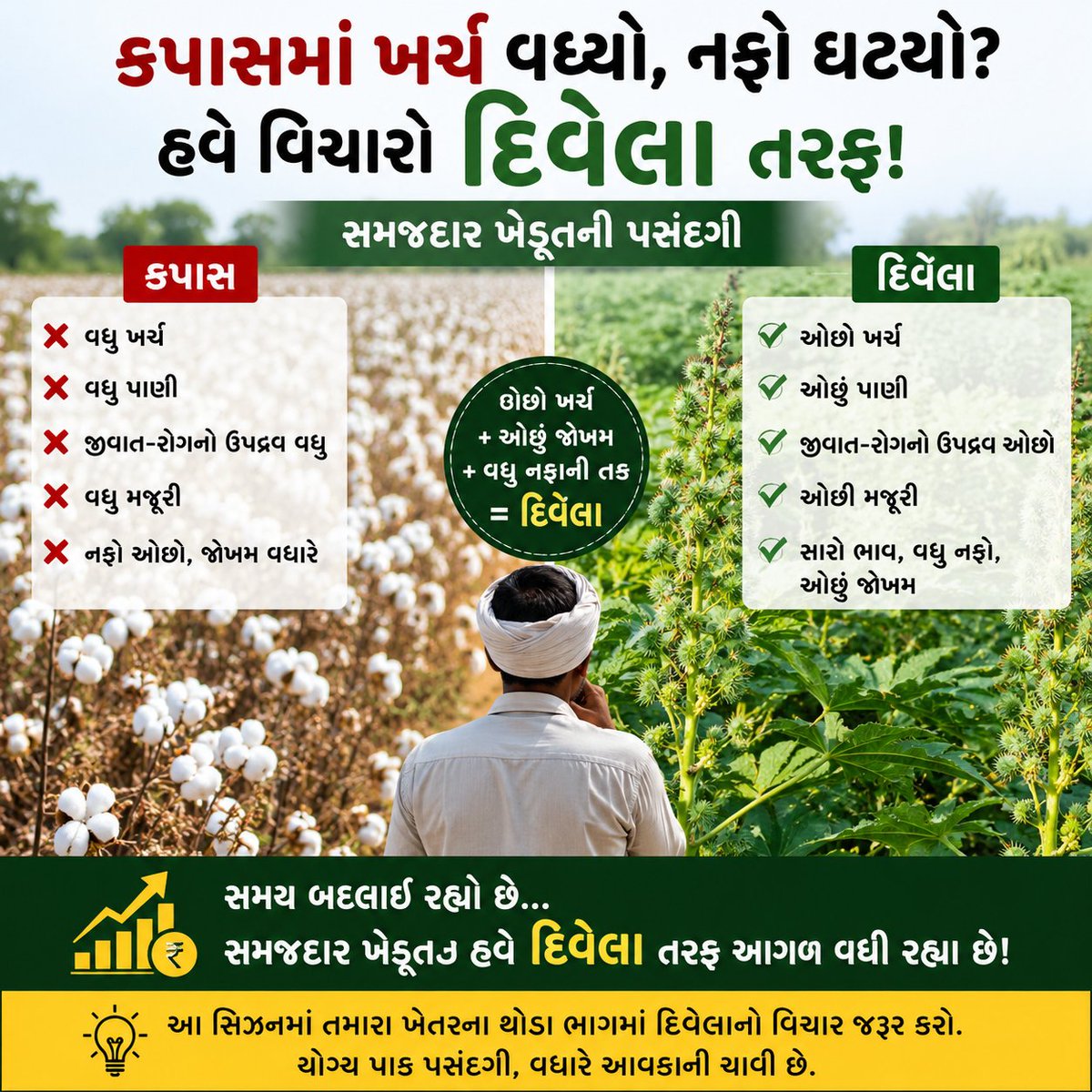 krushishala's tweet photo. કપાસની ખેતી કરતા ખેડૂતો હવે  દિવેલાની ખેતી તરફ વળ્યા છે, દિવેલા એટલે કે એરંડા એ કુદરતી વિષમ પરિસ્થિતિમાં પણ સારું એવું વળતર આપતો નફાકારક પાક છે, હવે ખેડૂતો દિવેલાને કપાસનો મજબૂત વિકલ્પ  ગણી રહ્યા  છે, ચાલુ ચોમાસુ સીઝનમાં તમે પણ દિવેલાની ખેતી કરી નફાની આ તક ગુમાવતા નહીં. https://t.co/Gtd0vV4D4c
