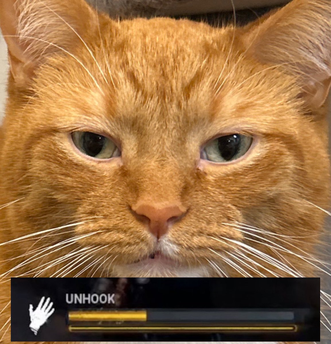 prion_tv's tweet photo. POV: I am facecamping you on second hook because your teammates “ruined)” “angel ♡” and “shy †” look like they have shoulder the burden i know they have it i know they have it i know they have it i know they have it i know they have it i know they have it https://t.co/Cdy6Ov0mjg