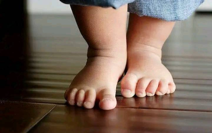 LunaGitana0333's tweet photo. Los Pies Descalzos :  
“¡Se va a enfermar!”    
“Dígale, doctora, que ahora está engripada por andar descalza por la casa.”    
 “Odia los zapatos.   
 ¿Necesitará un traumatólogo?”     

Los pies descalzos son aliados para el neurodesarrollo infantil. .     
 Permiten que el niño sienta texturas y temperaturas distintas según el suelo que pise (pasto, cerámica, madera), haciendo que ciertas zonas del cerebro trabajen procesando dicha información, que de otra manera no recibirían.     

Mejora el desarrollo de la musculatura del pie y ayuda a prevenir el pie plano.     
 Permiten experimentar la propiocepción y mejorar la estabilidad y la coordinación en la marcha.    

Pero...    
¿No se enferman?   
 No, el frío no enferma.   
 Enferman los virus y bacterias.   
 Si no estamos expuestos a ellos, el frío no tiene nada que ver.    

Entonces ¿por qué nos enfermamos más en invierno?     
 Porque para protegernos del frío, nos acumulamos en ambientes poco ventilados, y con que una persona tenga un virus nos puede contagiar a todos.    

Se le ponen los piecitos muy fríos... 
 Los bebés regulan la temperatura corporal también a través de los pies.   
 No notan los pies fríos.   

A los adultos nos gustan las medias...pero pregúntale a tu hijo más grandecito si prefiere estar en medias o descalzo.   
 Creo que tenemos la respuesta.    

¿Y en la calle?   
 En las ciudades, en la calle estamos expuestos a multitud de elementos que pueden lastimar.   
 Lo ideal es colocar un calzado ergonómico, blando, que se adapte al piecito del deambulador.     

¿Y qué hago con todos los zapatitos lindos que tengo?      
 Usarlos para fiestas, disfraces, eventos.    
 La cuestión no es no usarlos nunca más, sino permitir el libre desarrollo el mayor tiempo posible.