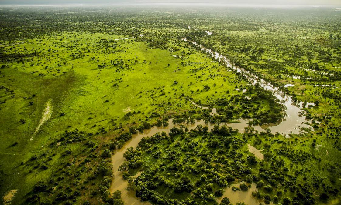 ElSaid_Global's tweet photo. Le Parc National de Zakouma est probablement l'un des endroits les plus impressionnants d'Afrique centrale🥰💛
#Zakouma #Nature #Tchad https://t.co/4I9EmAdKsM