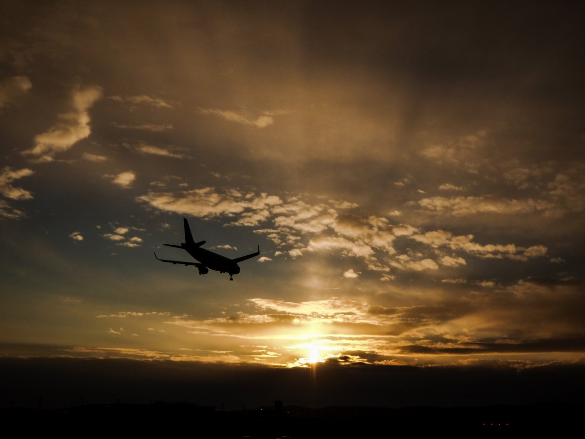 es_uuta's tweet photo. 優焼け𓂃𓂄

#仙台空港
#飛行機のある風景 https://t.co/UpYhGxyJiD