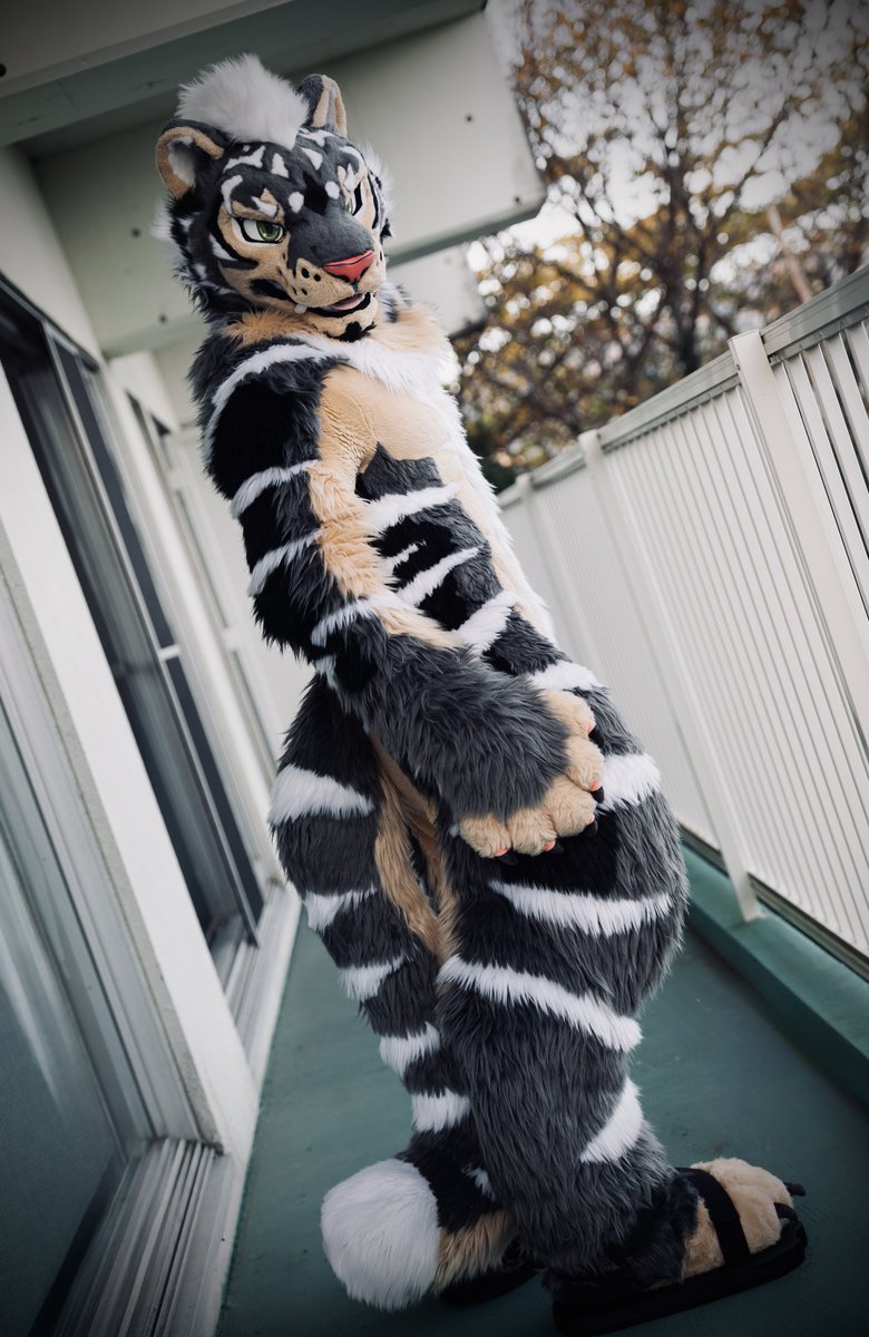 ZephTiger tweet picture