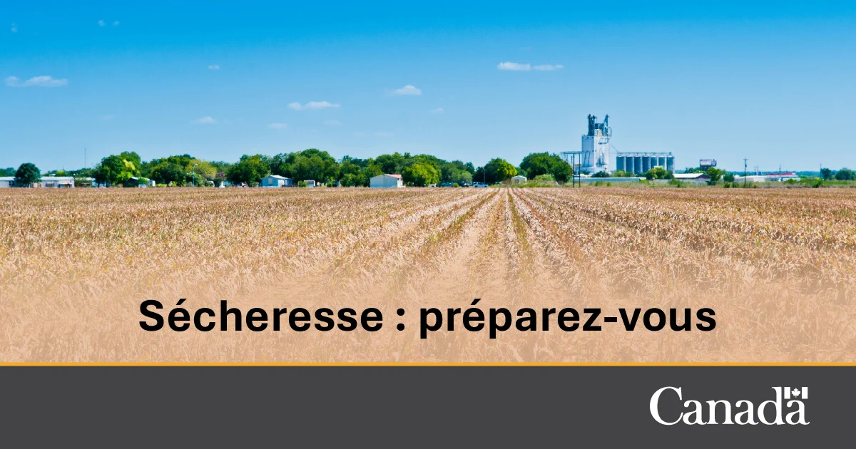 Un champ de maïs en train de dépérir. Texte : Sécheresse : préparez-vous.