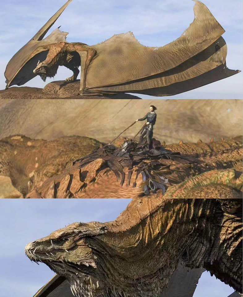 Jadeeslike's tweet photo. If Balerion had refused Aegon the Conqueror, would the Seven Kingdoms have ever been united? https://t.co/A6oJwcLker