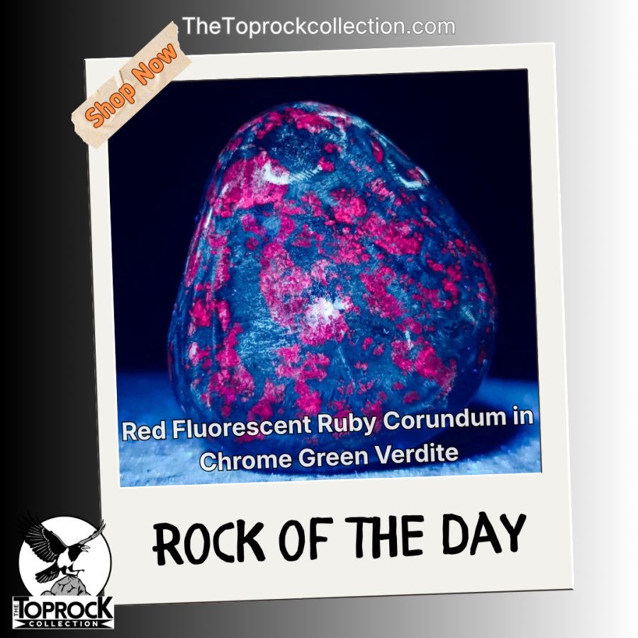 thetoprockcoll's tweet photo. Rock of the Day
Red Fluorescent Ruby Corundum in Chrome Green Verdite Free Form – stunning “Ruby Verdite” with silver & red spots in vibrant green matrix.
Glows beautifully under UV!
Zimbabwe → https://t.co/GxZB3Xr0r0
#Thetoprockcollection #Gemstones #Verdite #Fluorescent https://t.co/PYpEEnYoiH