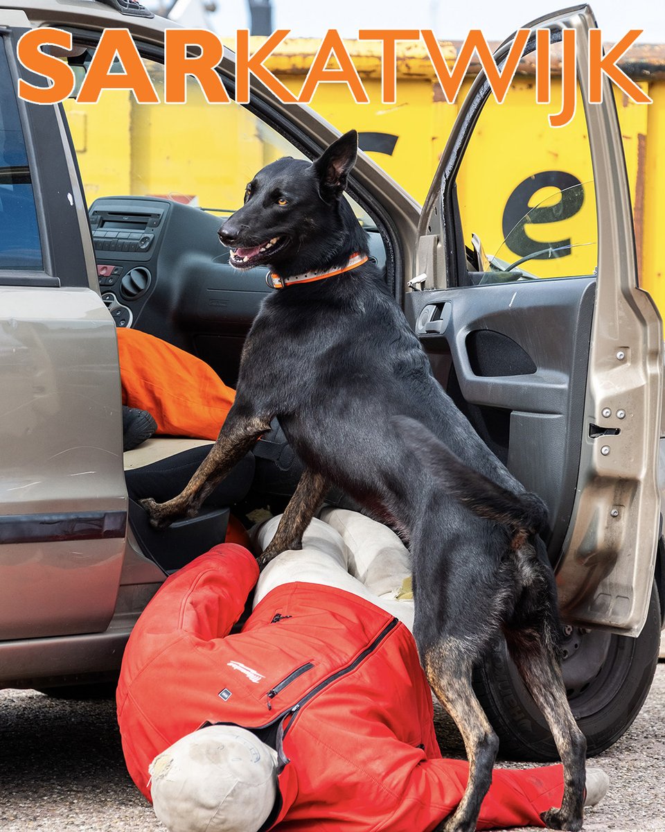 reddingshonden's tweet photo. Zaterdag 4 juli stond de RHWW met een informatiestand op SAR Katwijk. Onze reddingshonden gaven zowel ’s morgens als ’s middags een demo en lieten zien hoe zij worden ingezet bij zoekacties. Mooi om zoveel geïnteresseerde bezoekers te spreken en te laten zien wat ons werk inhoudt https://t.co/QZGvLVreNA