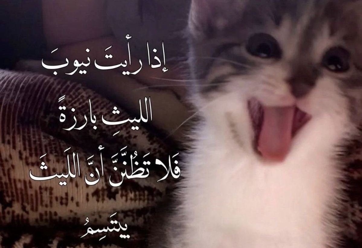 daymketha's tweet photo. https://t.co/FHvHQXvYcE