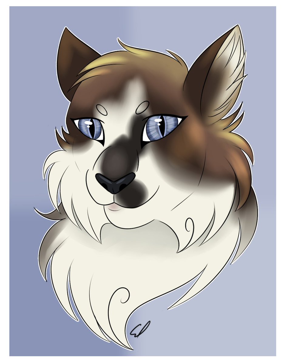 LadySunny_16's tweet photo. Someone attacked me like day one on artfight and drew my precious kitty Midna! so i had to draw their kitty Paizley! 

#digitalart / #artfight / #feral / #feline https://t.co/idnlluwnua