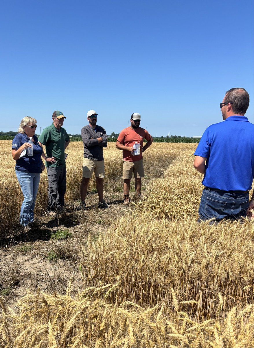 DFSeeds's tweet photo. Earlier this week, DF Seeds hosted multiple wheat training sessions. The purpose of wheat training is to educate our dealers about our current wheat products so that they can help their customers make informed decisions. Wheat training helps make us Locally Grown, Locally Proven. https://t.co/F1ipRrqvfr