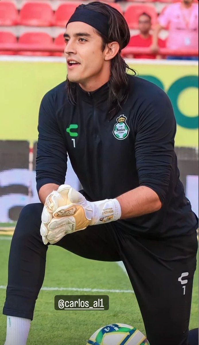 anchoovii's tweet photo. Increíble como todos los CM de los equipos de la liga MX se pusieron a trabajar para presentar a sus equipos a las chicas y después el @ClubSantos  que está desperdiciando el face card de Acevedo, que luce así... novalenv3rg4 https://t.co/LyKFdlFjNW
