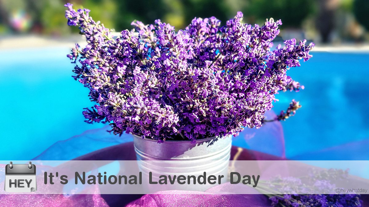 HeyWhatDay's tweet photo. It’s National Lavender Day! 
#NationalLavenderDay #Lavender #LavenderDay https://t.co/SpRgaYwJHS