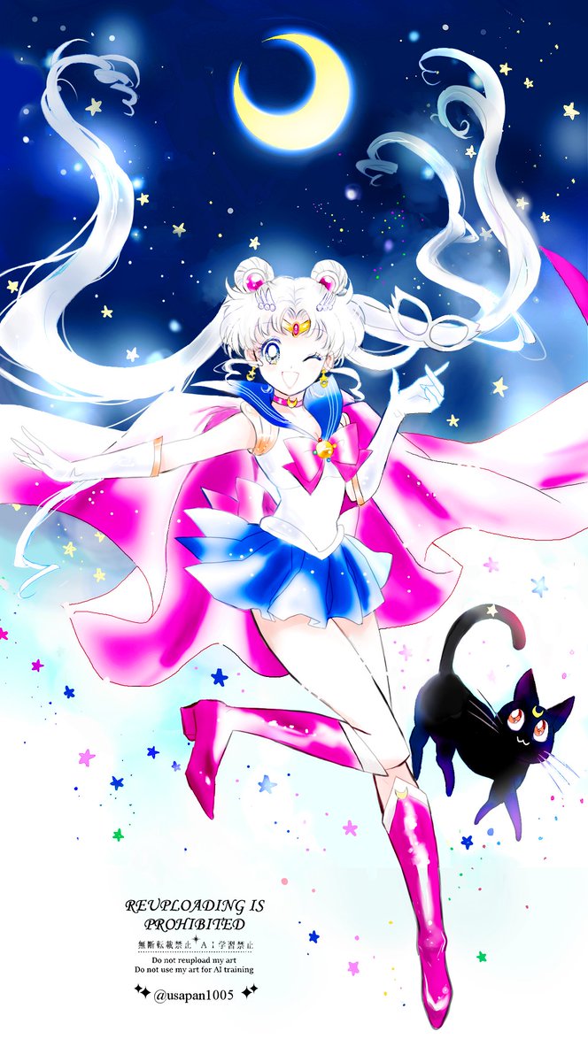 usapan1005's tweet photo. #セーラームーン　
うさぎちゃんとルナ🌙 https://t.co/sy5vubvhAo