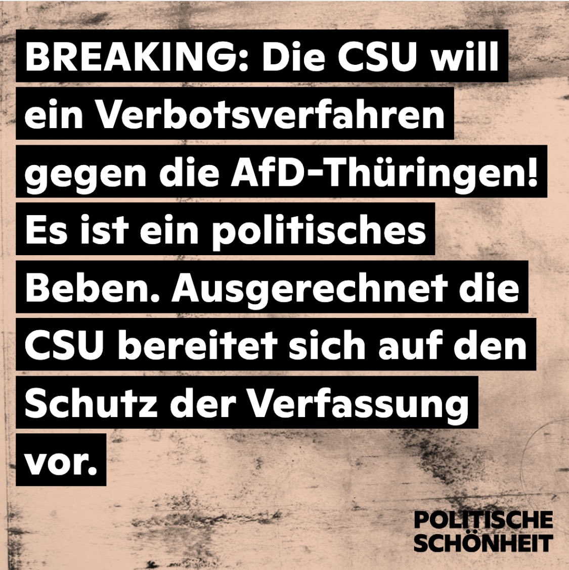 austeildienst's tweet photo. Gute Nachrichten: da ist das #AfDVerbotsverfahren schon. Danke @politicalbeauty https://t.co/2JRF7EkNkL