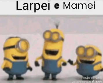 Molarp tweet media