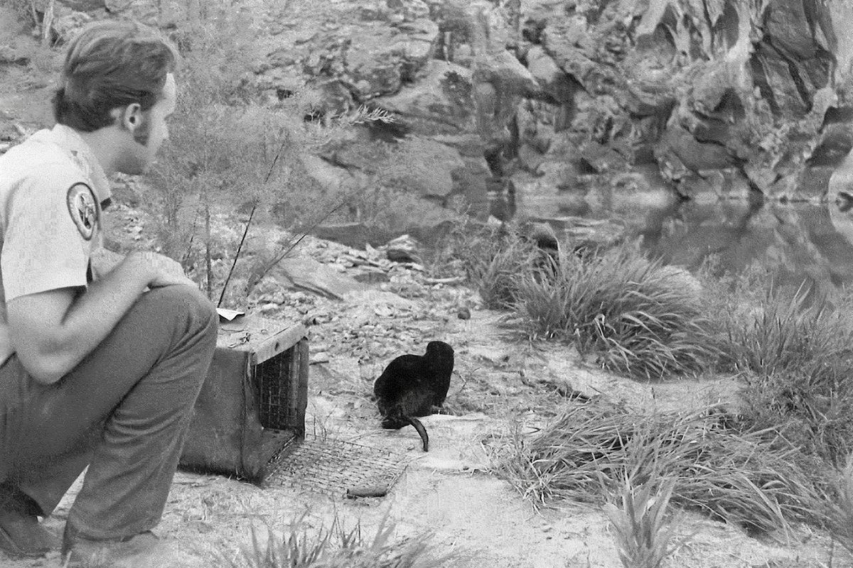 Colorado Parks and Wildlife tweet media