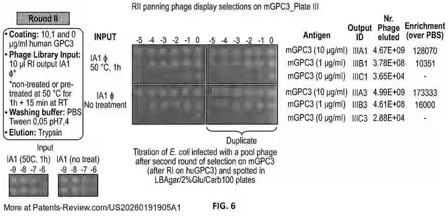 PatentPulse's tweet photo. New patent application #US20260191905A1 by #ModernaTX reveals
anti-Glypican 3 (#GPC3) antibodies &amp; binding proteins.
Includes nucleic acids encoding these proteins.
Methods for treating diseases like cancer (e.g., HCC) are detailed.
#Healthcare #Biotech $MRNA #PatentApplication https://t.co/Oi8JYLJP1k