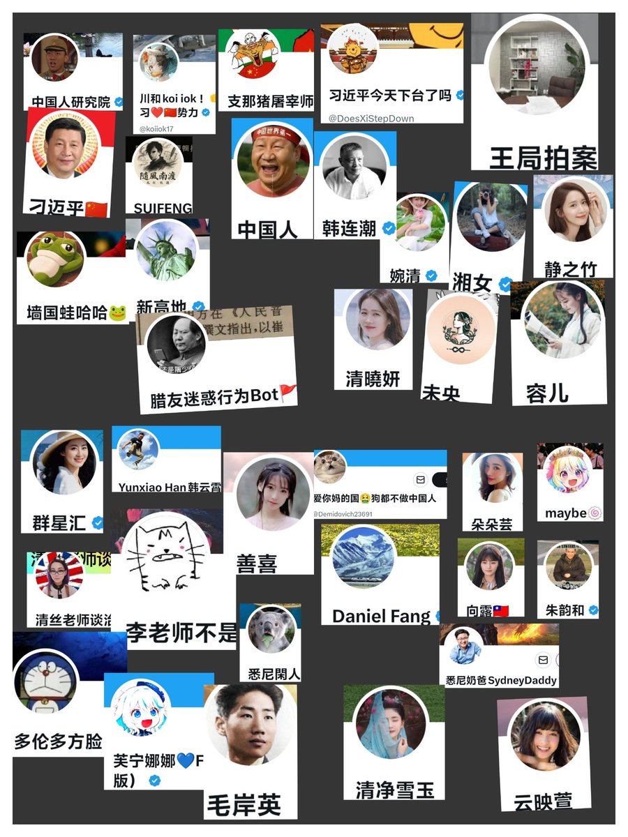 Chinese🇨🇳🇭🇰🇲🇴(NO🇹🇼)🇵🇸 tweet media